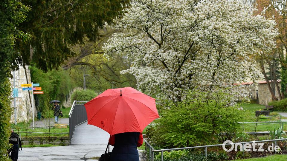 Der Stadtgraben in Amberg. Archivbild: Petra Hartl