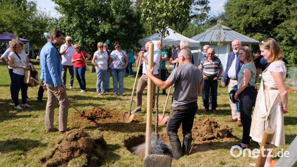 Baumwart Tim Kellert informiert über die richtige Baumpflanzung. Mit Stephan Oetzinger, Albert Nickl und Robert LIndner hatte er fleißige Helfer. Bild: le