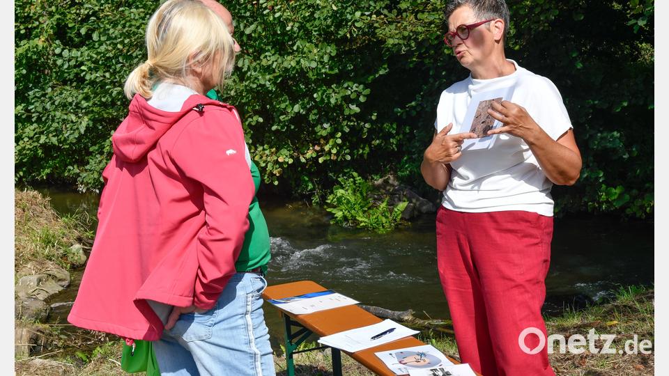 Beim Tag des Wassers in Theuern gibt es Informationen und Aktionen rund um das Thema Wasser. Bild: Petra Hartl