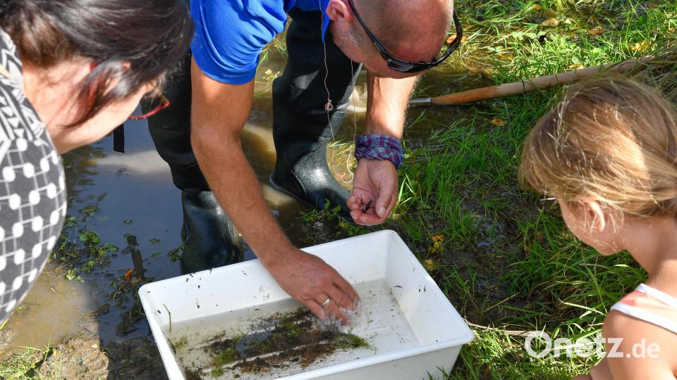 Der Tag des Wassers in Theuern bietet Informationen und Aktionen rund um das Thema Wasser. Bild: Petra Hartl