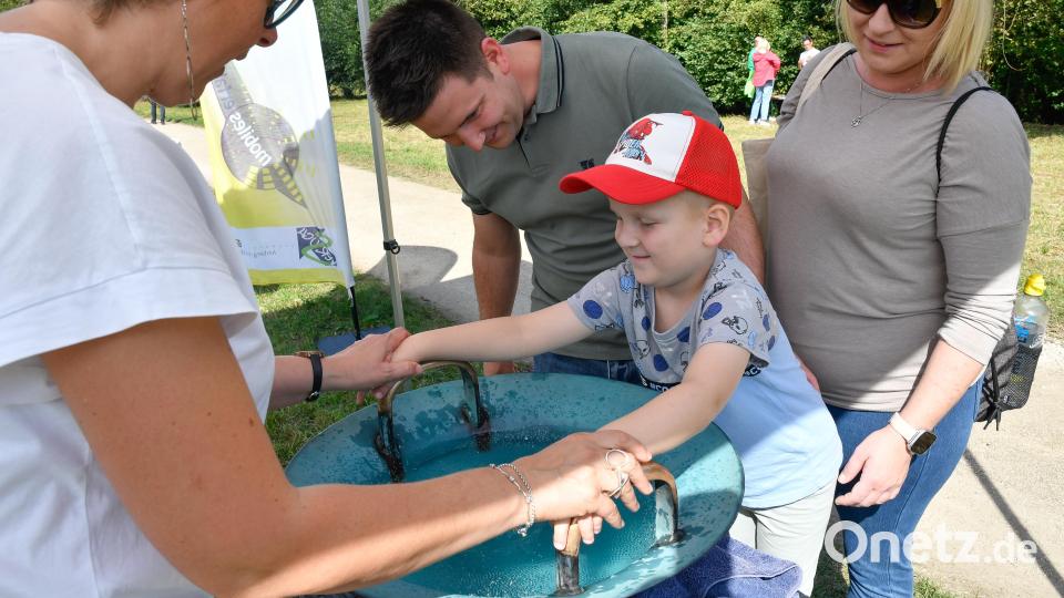 Der Tag des Wassers in Theuern bietet Erfahrungen für alle Sinne. Bild: Petra Hartl