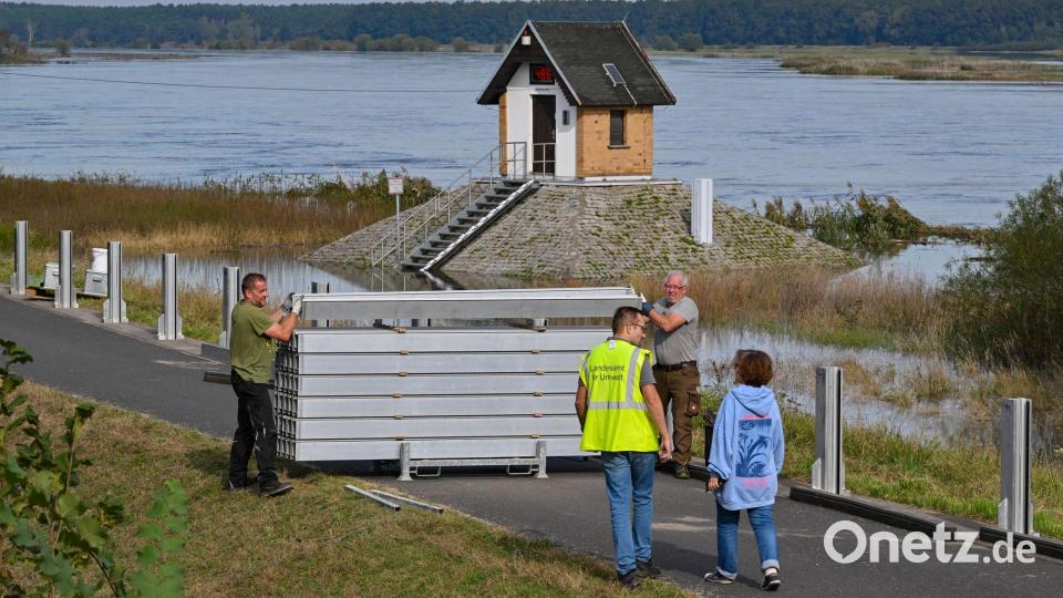 In Ratzdorf ist heute mit Hochwasser-Alarmstufe 4 zu rechnen. Bild: Patrick Pleul/dpa