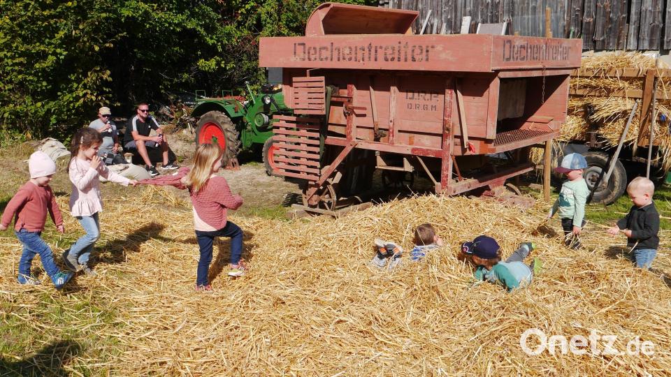 Dreschen mit einer Dreschmaschine aus den 1950 er Jahren wird vorgeführt. Im Anschluss können sich die Kinder im Stroh austoben. Archivbild: exb; Heimat- und Trachtenverein/Josef Leipold