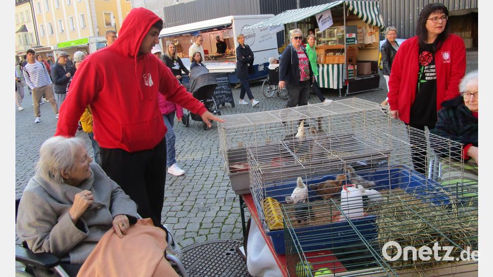 Marienheim-Senioren am Bauernmarkt Bild: Daniela Donhauser