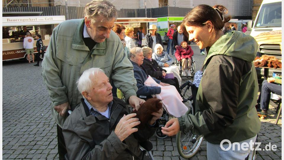 Am Bauermarkt waren zahlreiche Sinneseindrücke für die Bewohner/ innen des Marienheims geboten – hier Wolle von verschiedenen Tieren Bild: Daniela Donhauser