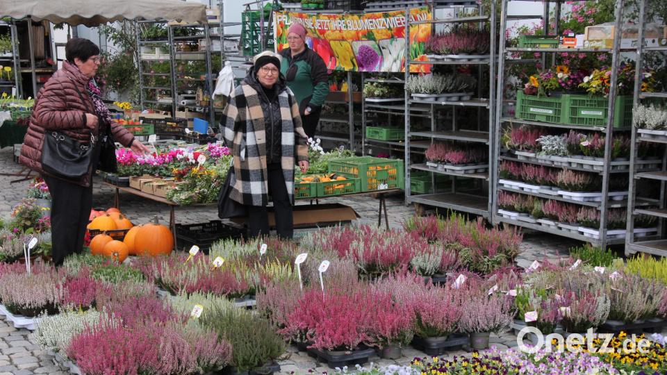 Herbstliche Blumen waren gefragt. Bild: kro
