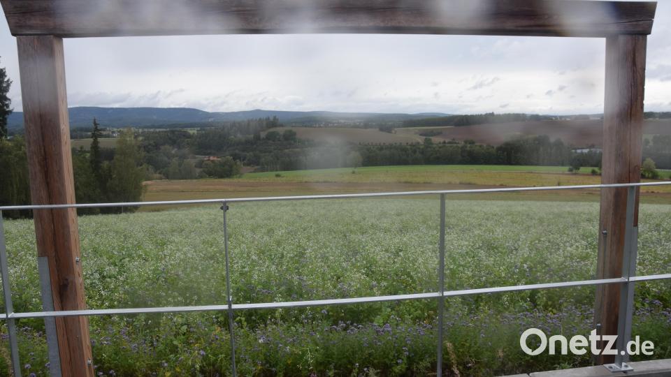 Der Blick von einer der Sitzreihen in die Landschaft durch die Holzrahmen. Bild: fz