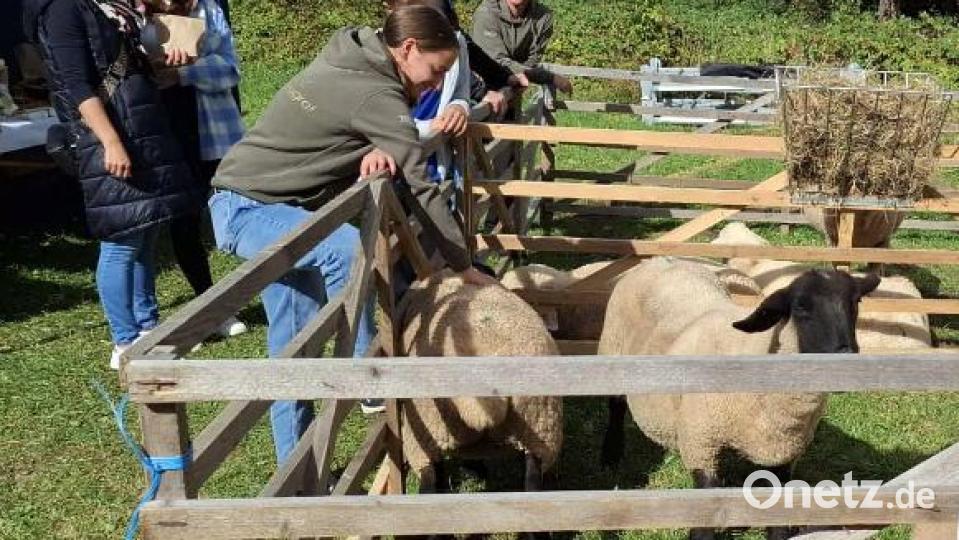 Die Tiere der Schäferei Burggraf waren sehr zutraulich und die Produkte interessierte die Besucher sehr. Bild: exb; Heimat- und Trachtenverein/Josef Leipold