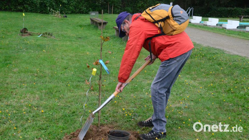 Jeder Bürger durfte beim Pflanzen helfen. Bild: Kunz