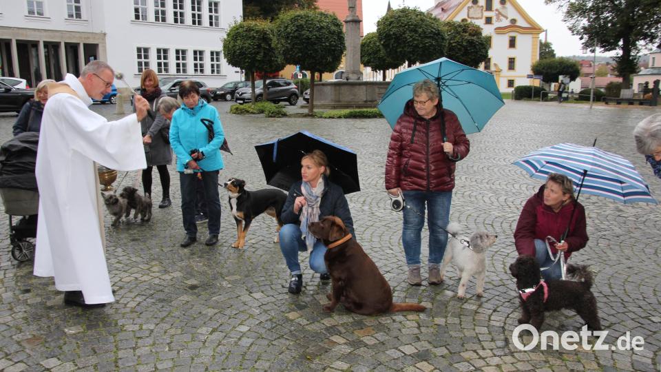 Stadtpfarrer Dr. Thomas Vogl bei der Tiersegnung vor der Basilika. Bild: kro