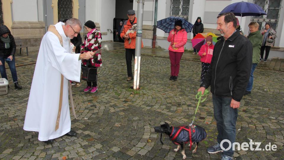 Der Stadtpfarrer segnete auch den Hund von Zauberer Franz. Bild: kro