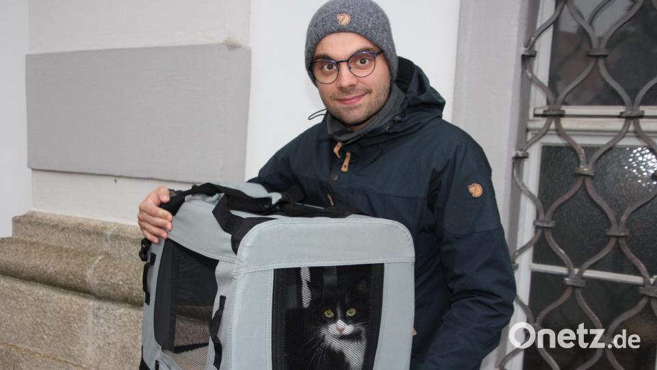 Franz Stierstorfer war mit seiner norwegischen Waldkatze "Eli" vertreten. Bild: kro