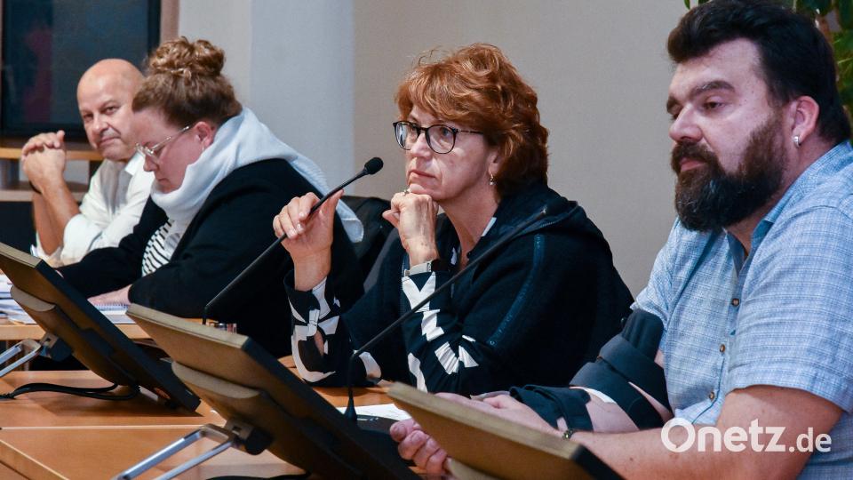 Ordnungsamtschefin Rosalia Wendl (Zweite von rechts) erklärte, dass städtische Politessen Falschparker am Luitpoldplatz durchaus "aufschreiben" würden, sie plädierte aber auch mit Nachdruck an die Autofahrer, die Tiefgarage zu nutzen. Bild: Stephan Huber