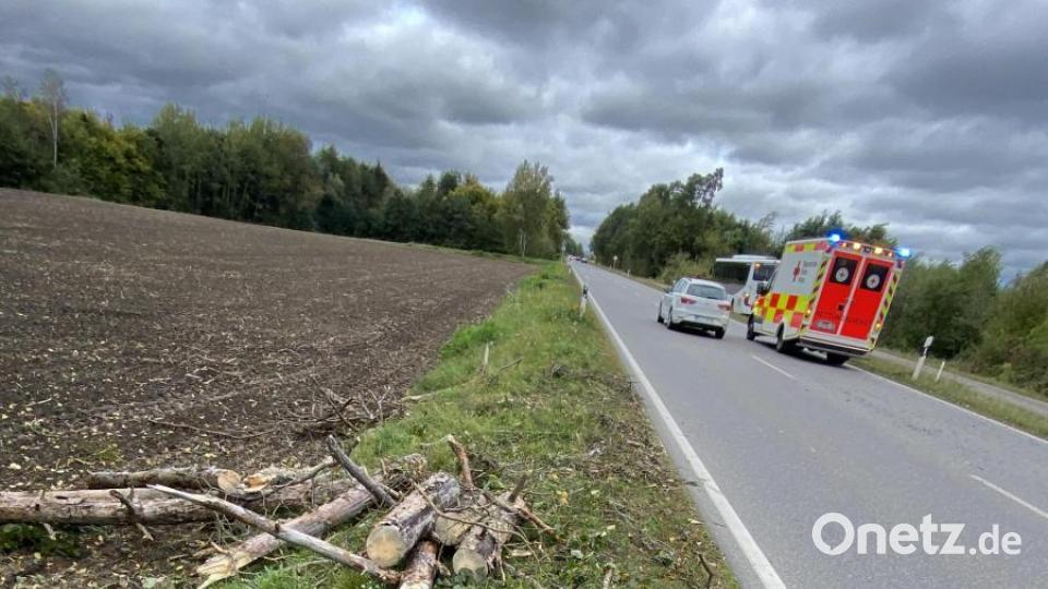 Drei Bäume fielen auf die Fahrbahn. Hier die beseitigten Stämme. Bild: Polizeiinspektion Schwandorf/exb