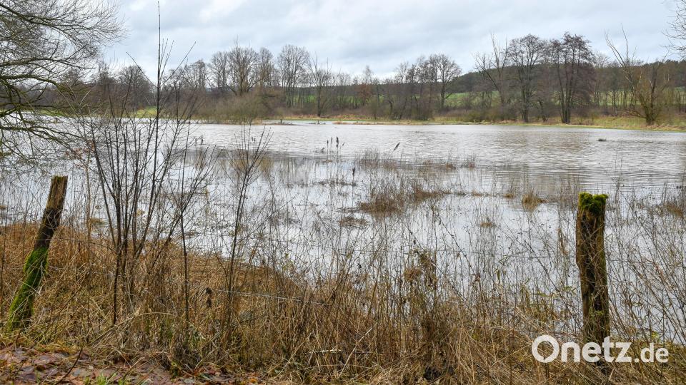 Die Vils tritt bei Hochwasser über die Ufer - im Bild eine Stelle bei Laubhof, wo der Fluss ordentlich viel Platz hat. Auch bei Vilseck soll das Wasser künftig mit zwei zusätzlichen Flussschleifen bei Bedarf mehr Raum einnehmen dürfen. Bild: Petra Hartl
