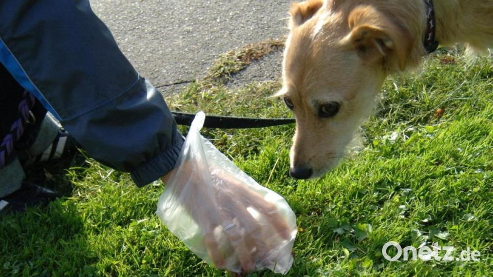 Die Hinterlassenschaften der Hunde müssen von den Besitzern entsorgt werden. Bild: Alexander Unger