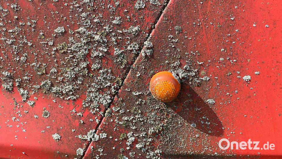 Mittlerweile hat sich etliches an Moos auf dem Auto angesetzt. Bild: Willi Koch/exb