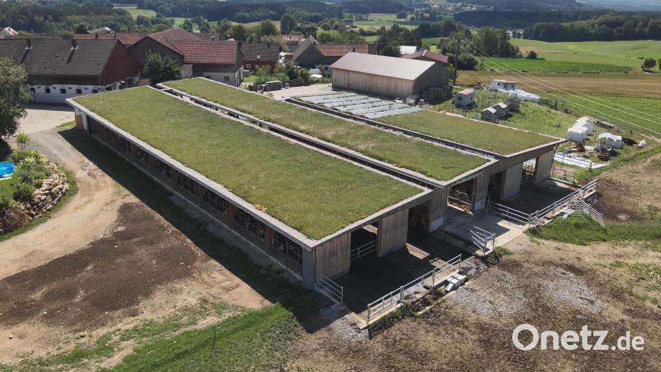 In Lind bei Oberviechtach bauten Johann und Julia Albang einen Holzstall für ihre Tiere. Bild: Armin Hobauer/AELF Regensburg-Schwandorf/exb