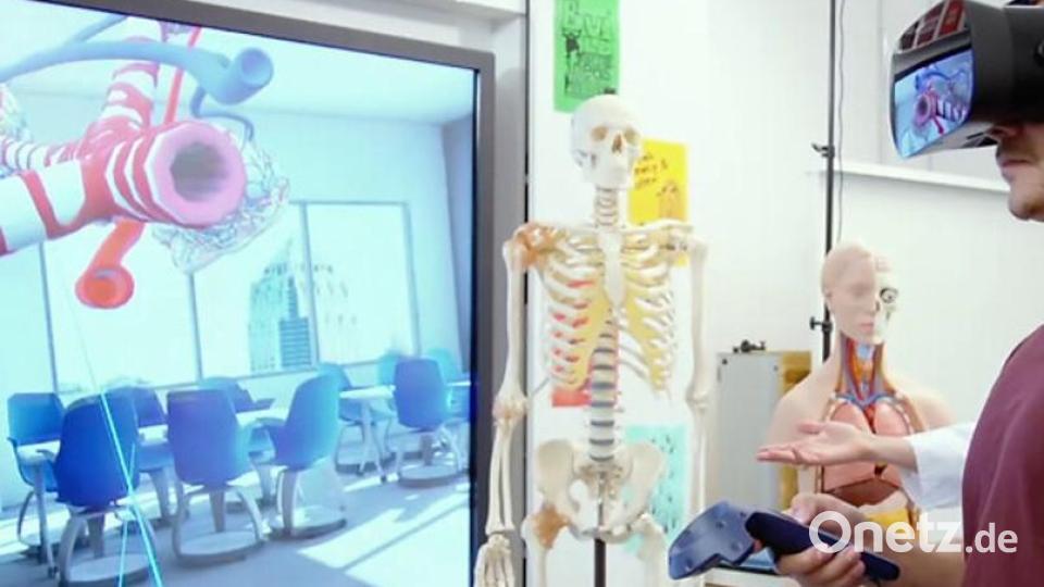Realistische Einblicke in den menschlichen Körper mit Virtual Reality. Bild: Sonja Wiesel/OTH Amberg-Weiden