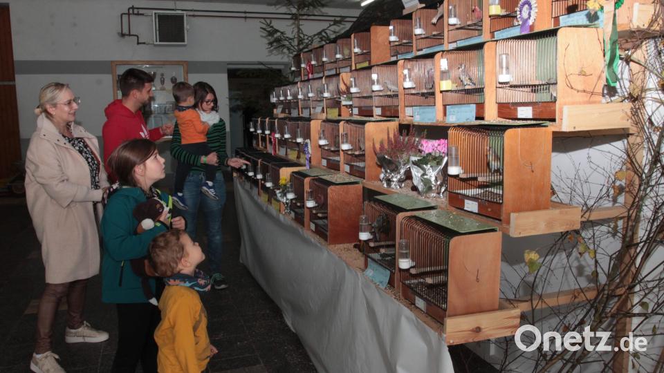 Vor allem die Kinder sind beeindruckt. Bild: pi