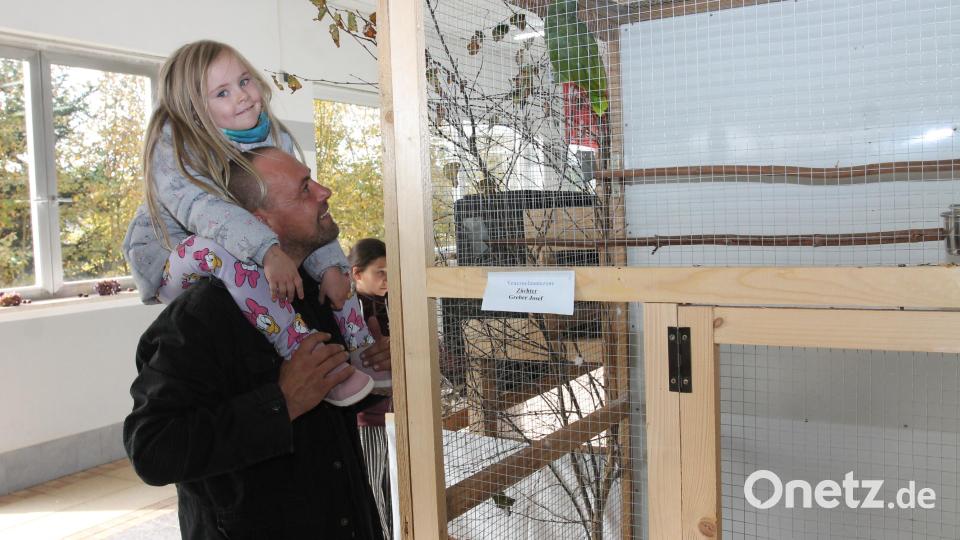 Die Vogelschau kommt an, vor allem bei Kindern. Bild: pi