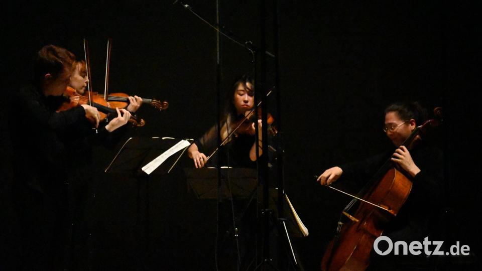 Mit dem &quot;Quartett-Vater&quot; Haydn, dem Zwölftontechniker Berg oder dem Romantiker Mendelssohn-Bartholdy bot das Leonkoro-Quartett eine Meisterleistung auf ihren zum Teil historischen Instrumenten. Bild: kki