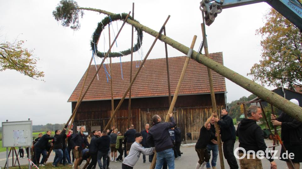 Die jungen Burschen der &quot;Schramml Kassa&quot; müssen sich tüchtig ins Zeug legen, bis sie den Kirwabaum aufgerichtet haben. Bild: bnr