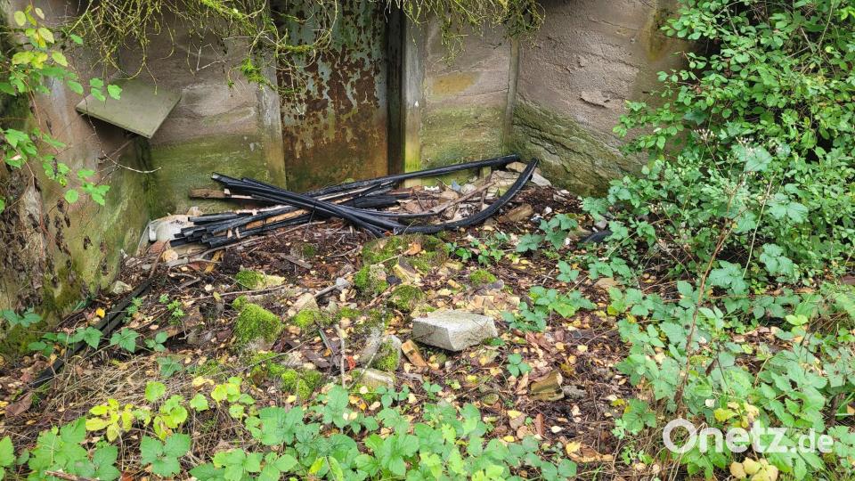 Am Steinbruch hätten eigentlich Zugangsbeschränkungen angebracht werden sollen, um solche Fälle zu vermeiden. Das ist nach Angaben des Bund Naturschutz Ortsgruppe Kirchenthumbach nicht geschehen. Bild: Rainer Knoll