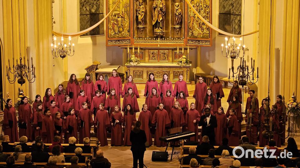 Der Mädchenchor der Regensburger Domspatzen bei seinem Auftritt in der Pfarrkirche Herz Jesu in Rosenberg. Bild: ric