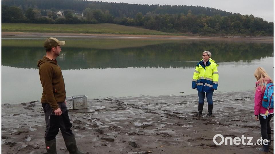 Bedingt durch die Baumaßnahmen am Eixendorfer Stausee musste der Wasserspiegel abgesenkt werden. Eine Großaktion zur Muschelrettung lief an. Bild: Wasserwirtschaftsamt Weiden /exb