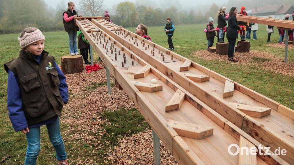 Die Kinder nehmen die neue Kugelbahn im Naturpark Hirschwald begeistert in Beschlag. Bild: Wolfgang Steinbacher