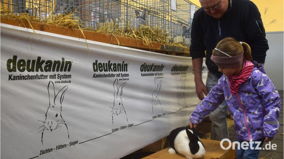Einen schwarz-weißen Holländer, ein Kaninchen, nimmt Karl Luber aus dem Käfig und Charlotte freundet sich mit Streicheleinheiten an. Bild: fz