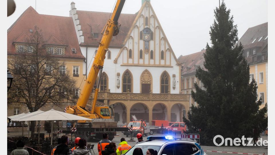 Der Weihnachtsbaum wird auf dem Marktplatz aufgestellt. Bild: Wolfgang Steinbacher