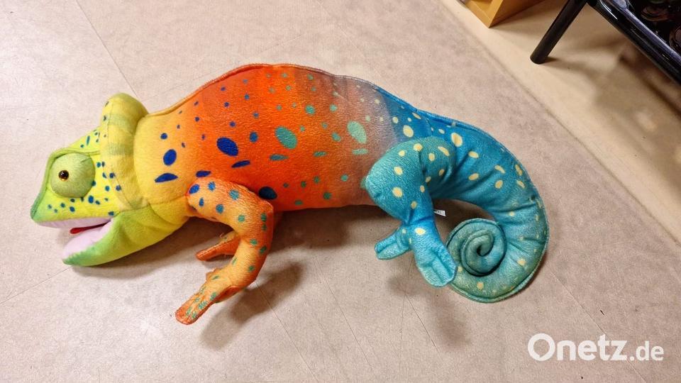 "Kulteleon" ist das Maskottchen des Vereins. Sein Name setzt sich aus den Begriffen Kultur und Chameleon zusammen. Das Stofftier wird als Handpuppe beim Musical mit dabei sein und Späße machen. Bild: Jessica Müller/exb