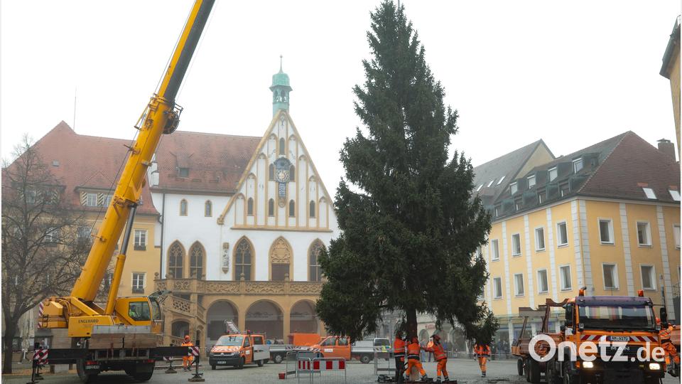Der Weihnachtsbaum wird auf dem Marktplatz aufgestellt. Bild: Wolfgang Steinbacher