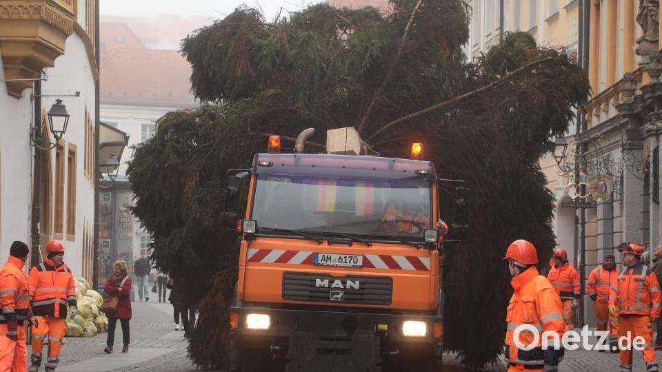Der Weihnachtsbaum wird auf dem Marktplatz aufgestellt. Bild: Wolfgang Steinbacher