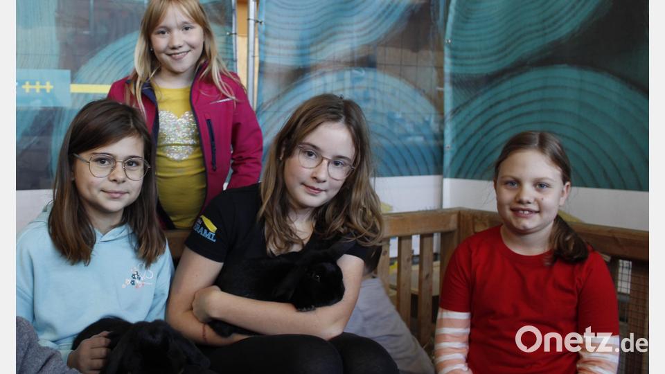 Der Streichelzoo erfreute vor allem die jüngeren Besucher der Lokalschau. Betreut wurde dieser unter anderem durch die Kaninchenjugendvereinsmeisterin Sarah Dumler (zweite von rechts). Bild: Tristan Hagspiel