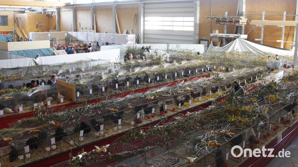 Die Holzbauhalle der Firma Schraml in Erbendorf bietet reichlich Platz für die Stallungen, Kaffee und Kuchen sowie die Tombola. Bild: Tristan Hagspiel