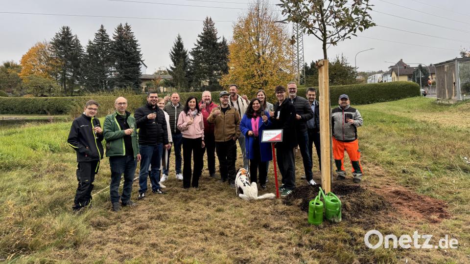 Ein nachhaltiges Zeichen für die Zukunft: Unternehmensnetzwerk BNI Focus Weiden pflanzt einen Baum, ein Geschenk an die Stadt Weiden. Bild: Lukas Frey