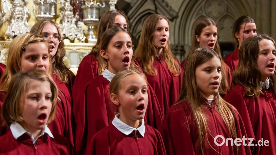 Der Mädchenchor der Regensburger Domspatzen wurde erst im September 2022 gegründet und hat es sich ebenfalls zur Aufgabe gemacht, durch seinen glockenreinen Gesang zur Ehre Gottes und zur Freude der Menschen zu singen. Bild: Michael Vogl/exb