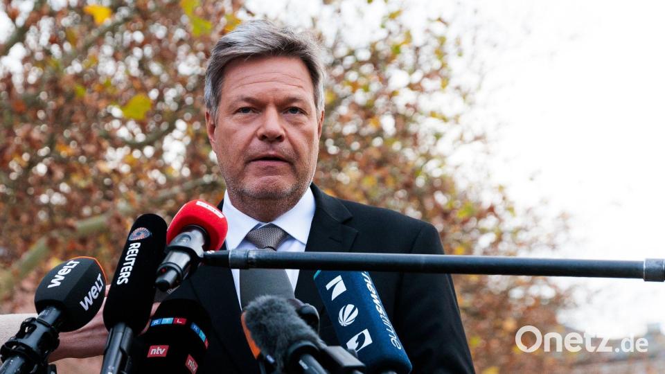 Die Grünen sind offen für einen früheren Neuwahltermin als von Scholz angestrebt. Bild: Carsten Koall/dpa