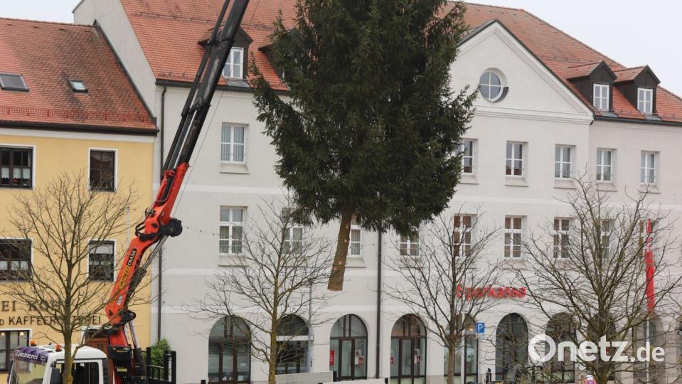Der 600 Kilogramm schwere und zwölf Meter hohe Christbaum schwebt per Kran auf seinen vorgesehenen Platz vor dem Tirschenreuther Rathaus. Bild: Stadt Tirschenreuth/Mirko Streich/exb