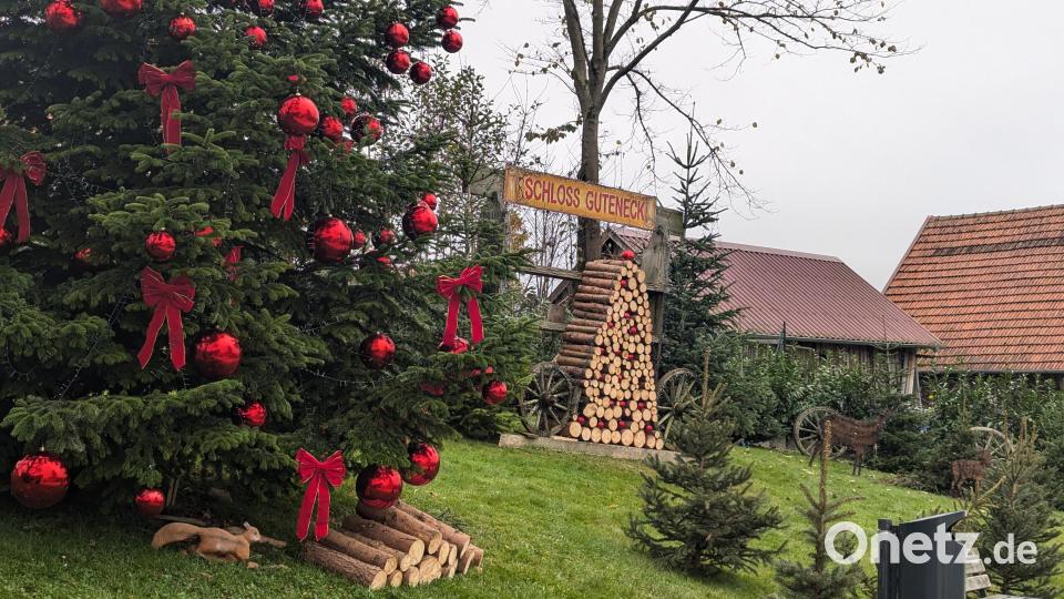 Schon seit Wochen wird auf Schloss Guteneck fürs passende weihnachtliche Ambiente gesorgt. Bild: wrl