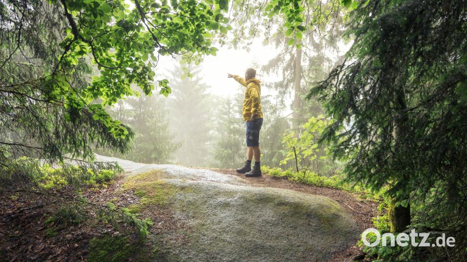 Der Wanderer bewegt sich, wie hier Matthias Kunz, geradezu wie durch einen Zauberwald auf dem Weg nach oben. Bild: Matthias Kunz