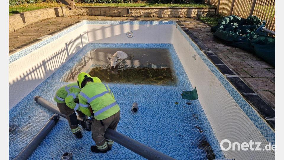 Die Feuerwehr ließ zunächst das Wasser ab. Bild: -/Leicestershire Fire And Rescue Service/PA Media/dpa