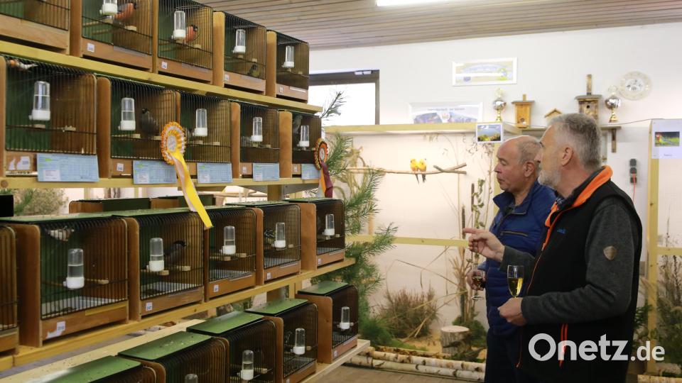 Bürgermeister Roland Strehl (links) und der Vorsitzende der Vogelfreunde, Karlheinz Loos, machen einen Rundgang durch die Ausstellung. Bild: egl