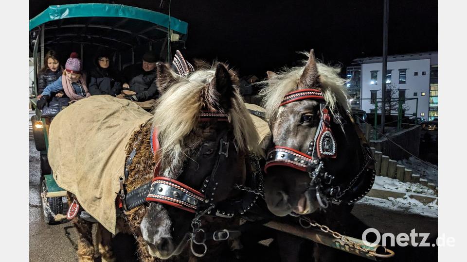 Beim Adventsmarkt von &quot;land &amp; gut&quot; immer sehr begehrt: Eine Runde mit der von Haflinger Mama und Tochter gezogenen Kutsche vom Lindauer Wirt. Bild: eib