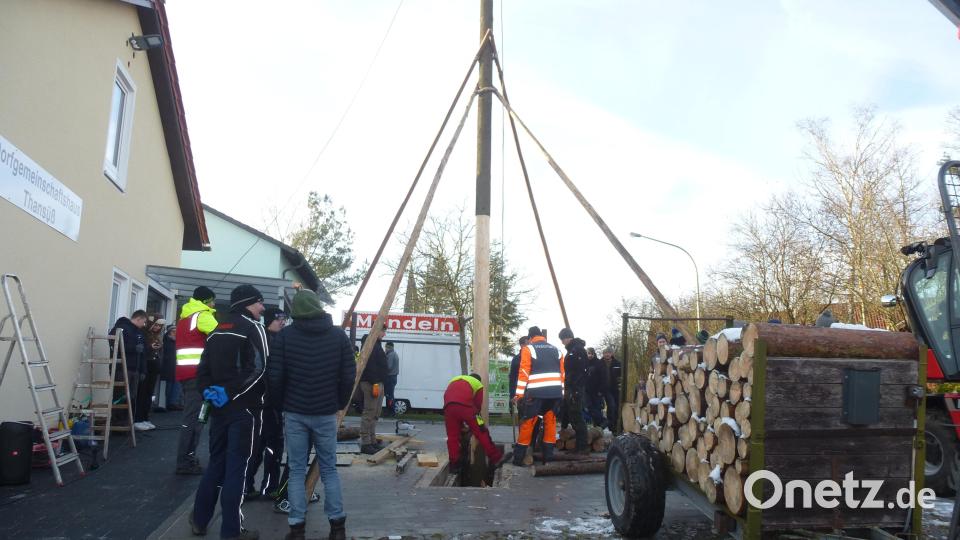 Der 28 Meter hohe Kirwabaum wird mit großem Aufwand verankert. Bild: bk