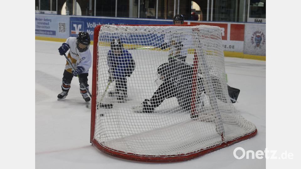 Jetzt nur noch den Puck über die Linie drücken! Bild: Sara Neidhardt