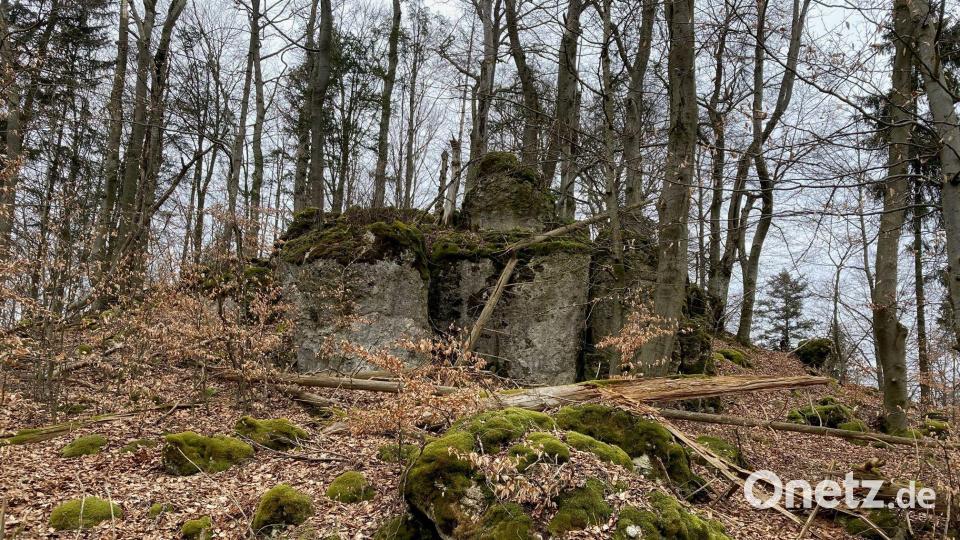 Der Name der Staatswaldabteilung Warth verweist auf einen mittelalterlichen Wachturm, von dem hier noch Reste erhalten sind. Bild: jp